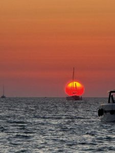 IMG_7554